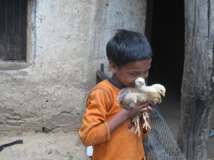 Boy holding chick in northern India