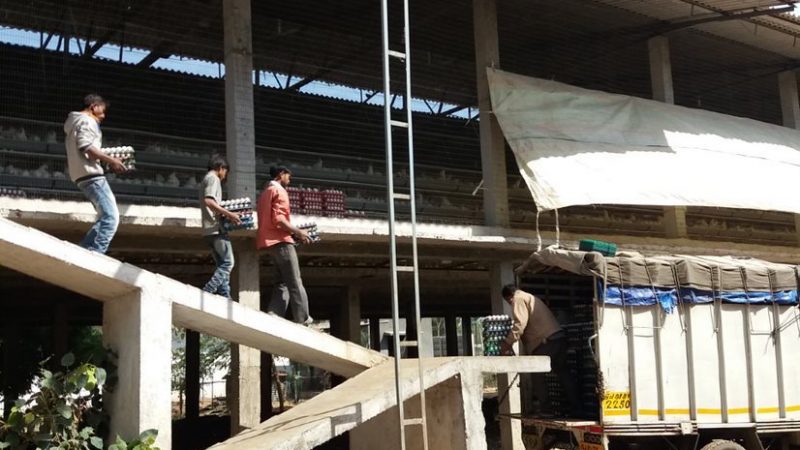 workers carrying crates of eggs