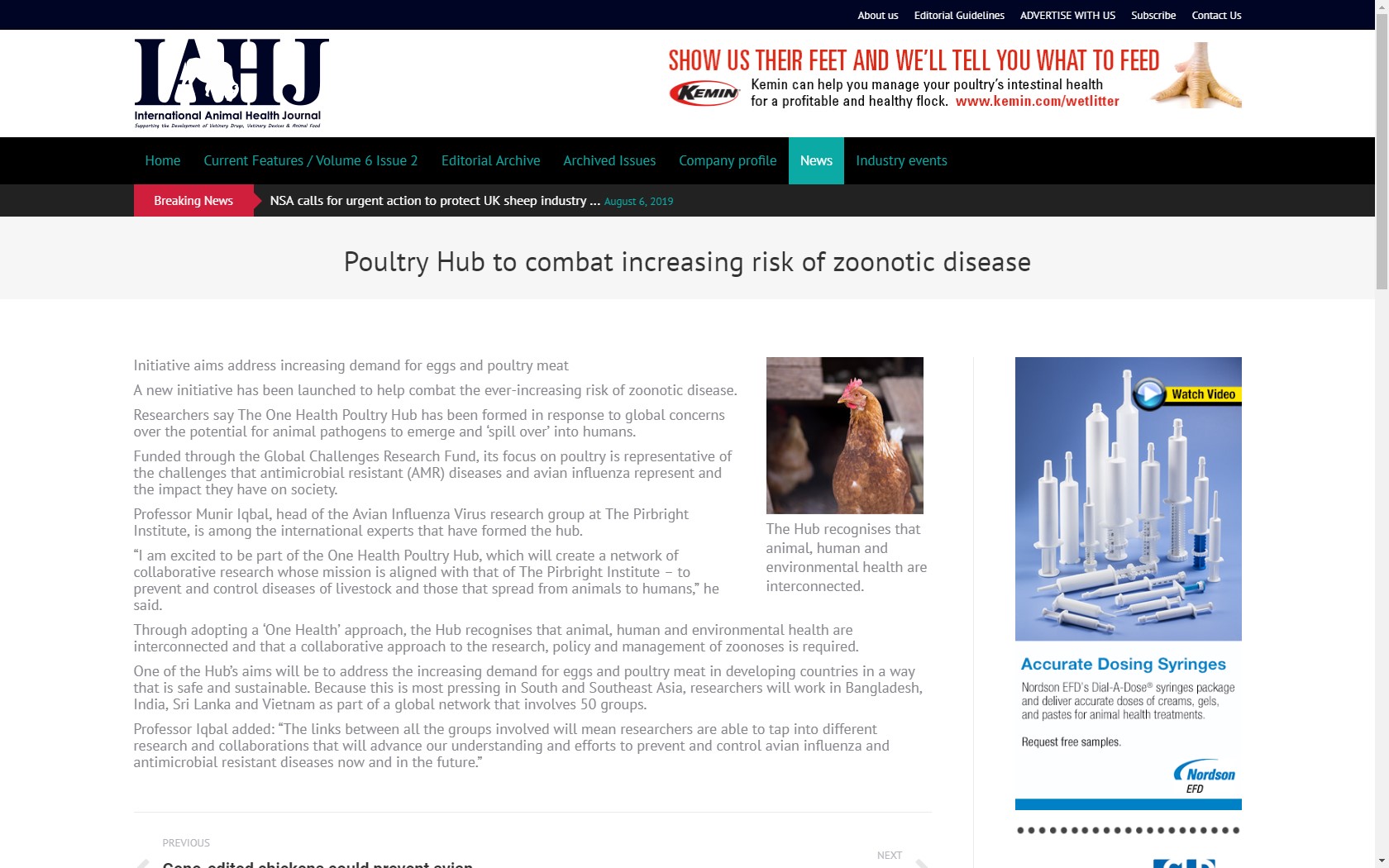 Poultry Hub to combat increasing risk of zoonotic disease | One Health ...