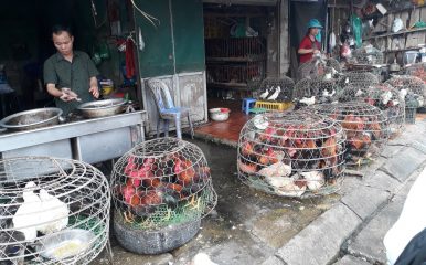 Man at live bird market in Vietnam