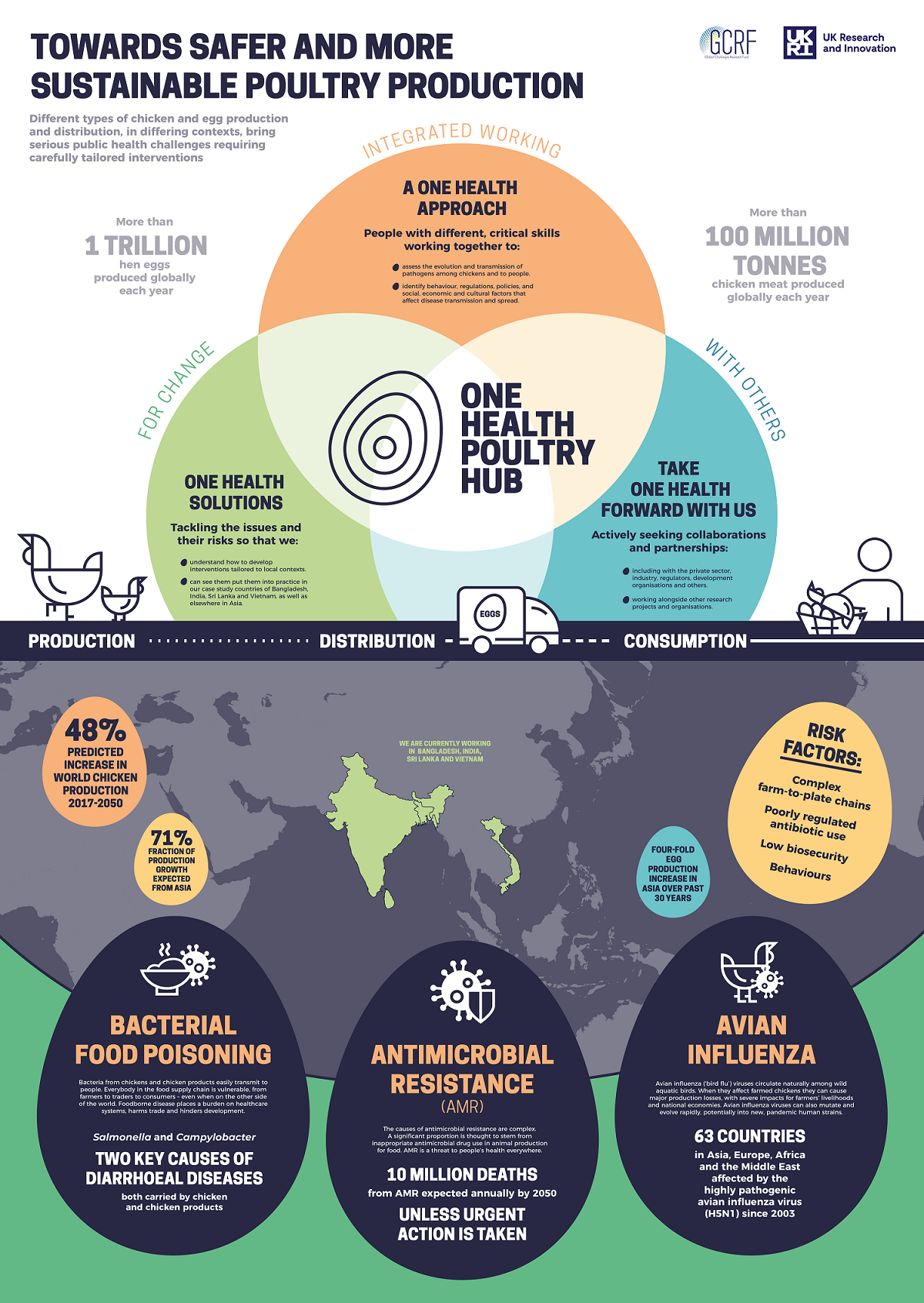 infographic of work of the One Health Poultry Hub