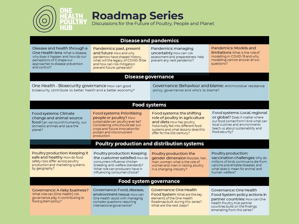 Scheme of the Roadmap series of discussions