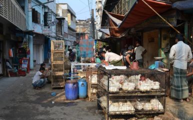 view of a wet market i Bangladesh