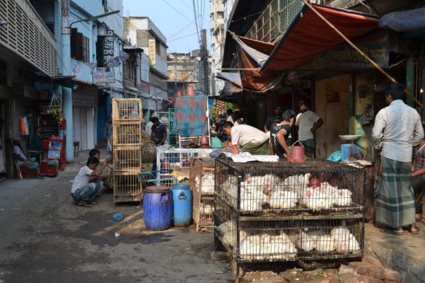 view of a wet market i Bangladesh