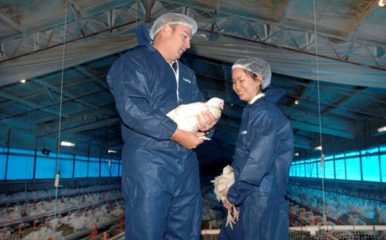 man and woman in PPE holding chicken