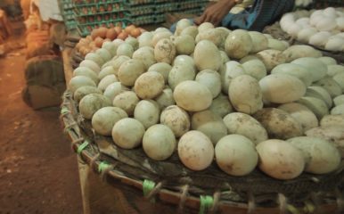eggs in basket in marketplace
