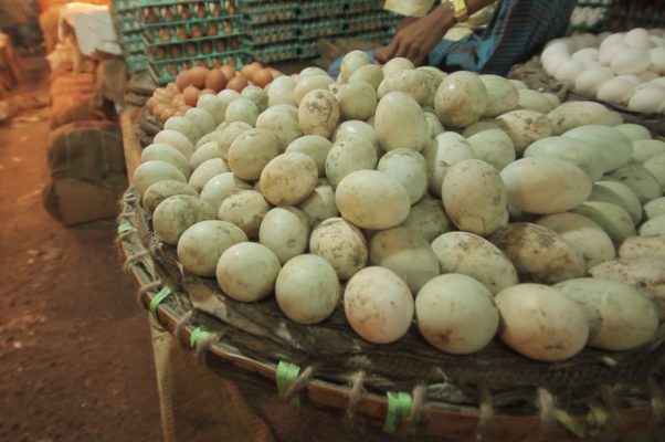 eggs in basket in marketplace