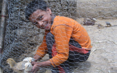 boy with chicken