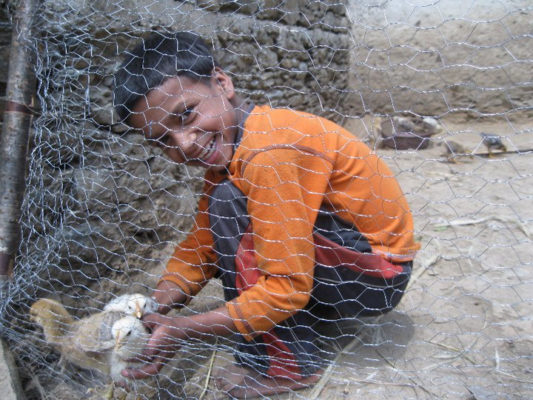 boy with chicken