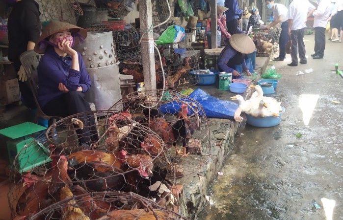 Market trader with chickens