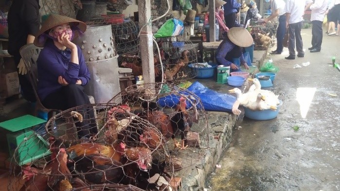 market vendor with chickens