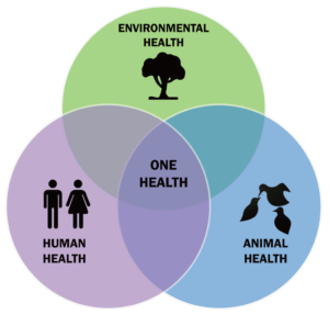 One Health Venn diagram showing overlaps of human, animal and environmental health sectors with One health in the centre
