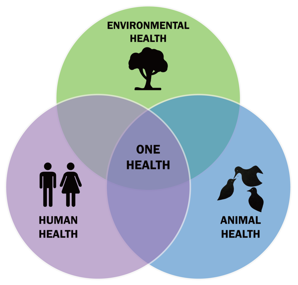 One Health Venn diagram showing overlaps of human, animal and environmental health sectors with One health in the centre