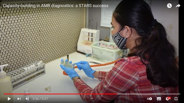 woman undertaking lab work