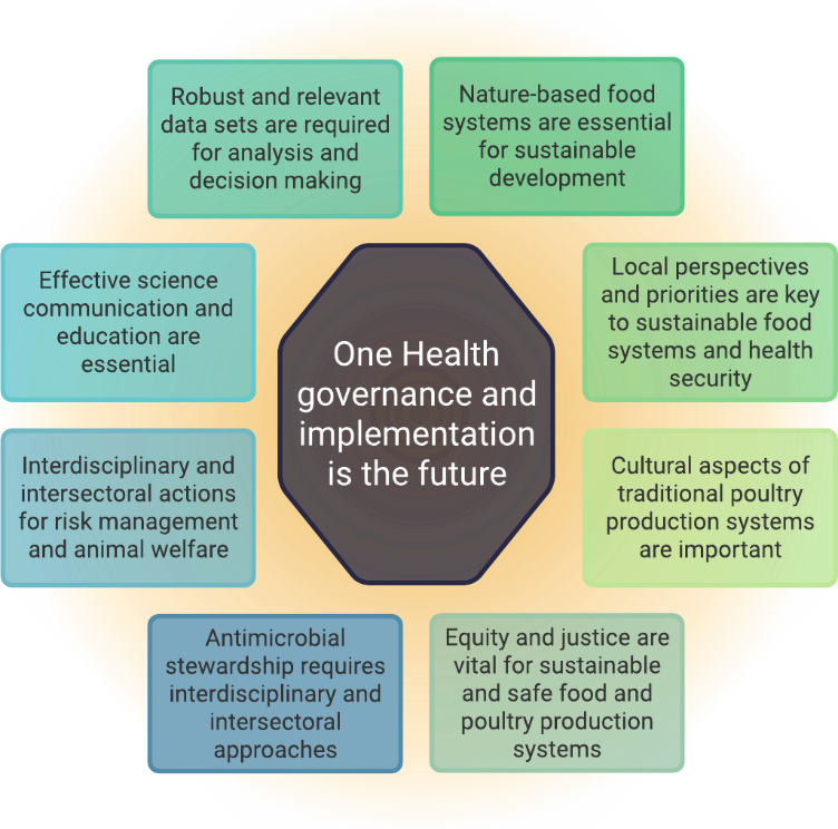 Figure showing the nine themes identified from the Roadmap Series discussion key messages, presented with the central theme of ‘One Health governance and implementation in the future’ surrounded by the eight others, which are: ‘Local perspectives and priorities are key to sustainable food systems and health security’, Cultural aspects of traditional poultry production systems are important’, Equity and justice are vital for sustainable and safe food and poultry production systems’, ‘Antimicrobial stewardship requires intersectoral approaches’, Interdisciplinary and intersectoral actions for risk management and animal welfare’, ‘Effective science communication and education are essential, ‘Robust and relevant data sets are required for analysis and decision making’ and Nature-based food systems are essential for sustainable development’.