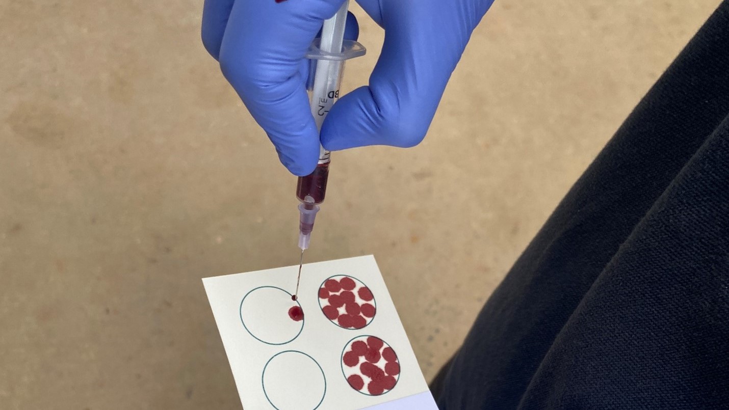 close up of needle and syringe, dropping blood on to sample sheet