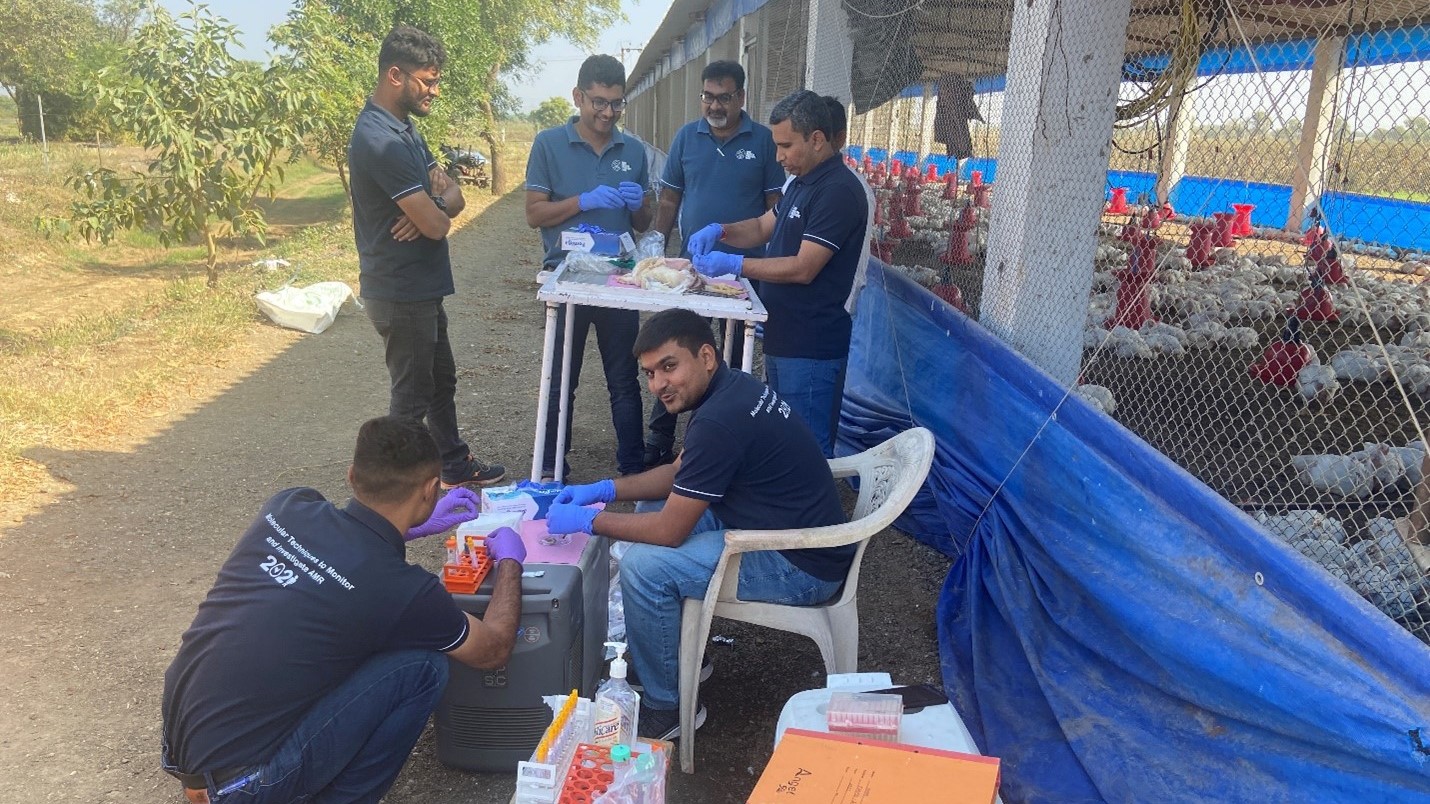 scientists gather round a table with sampling equipment in a chicken farm setting