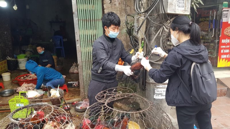 two scientists in masks taking samples in a bird market setting