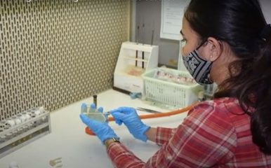 researcher with test tube in lab