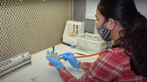 researcher with test tube in lab