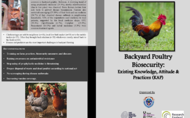 cover of briefing