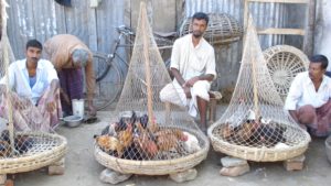 Three male traders seated on the ground with poultry in caged baskets in front of them