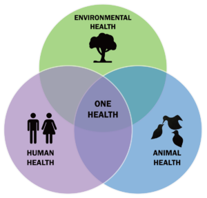 Venn Diagram illustrating theOne Health concept