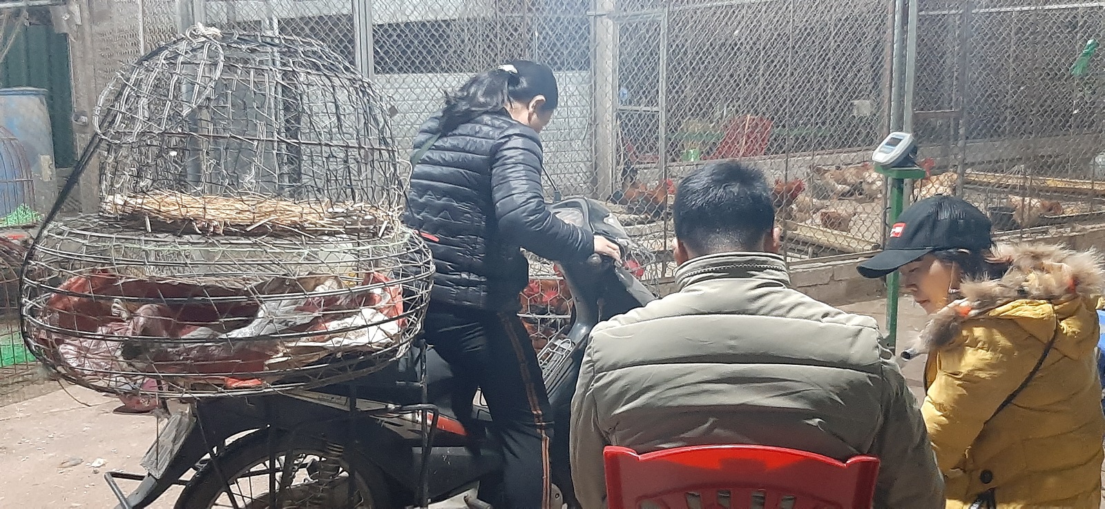 researchers taking notes and chicken seller on bike