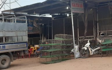 vMarket shed wiith lorry in foreground and a motorbike visible too