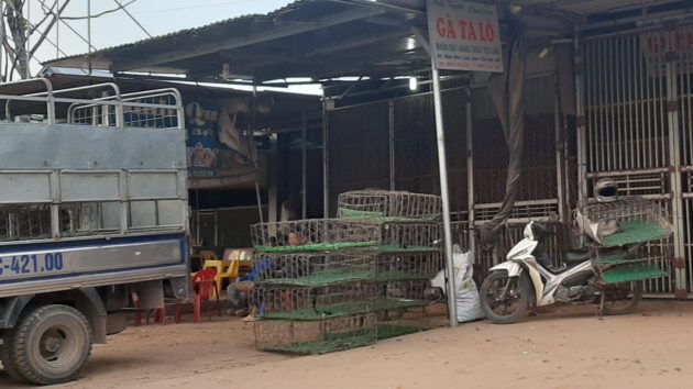 vMarket shed wiith lorry in foreground and a motorbike visible too