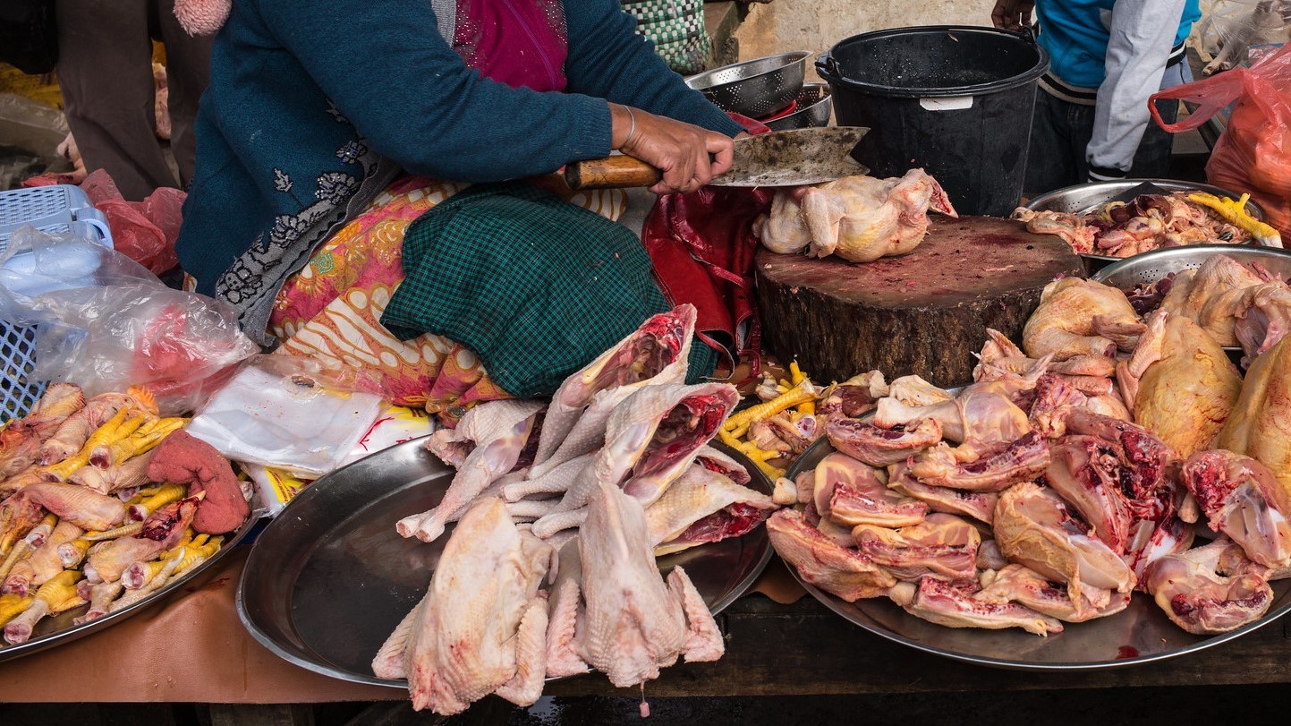 seated market seller with chickens