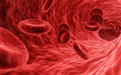 illustration of red blood cells in a vessel