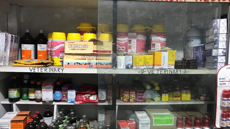 rows of drugs on shelves.