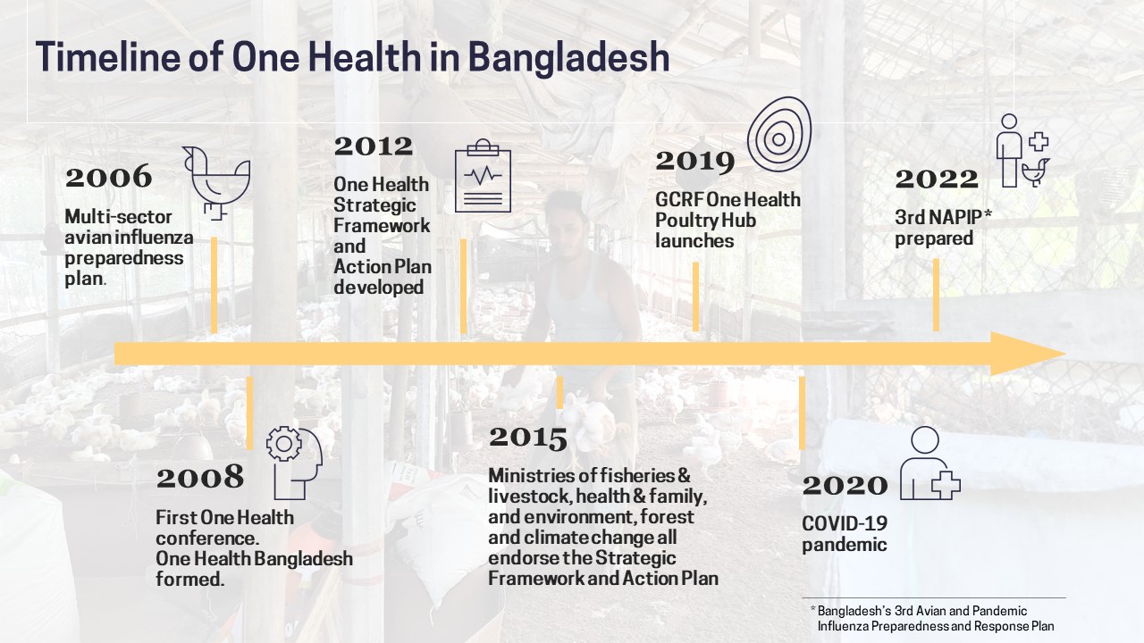 TIMELINE OF ONE HEALTH IN BANGLADESH