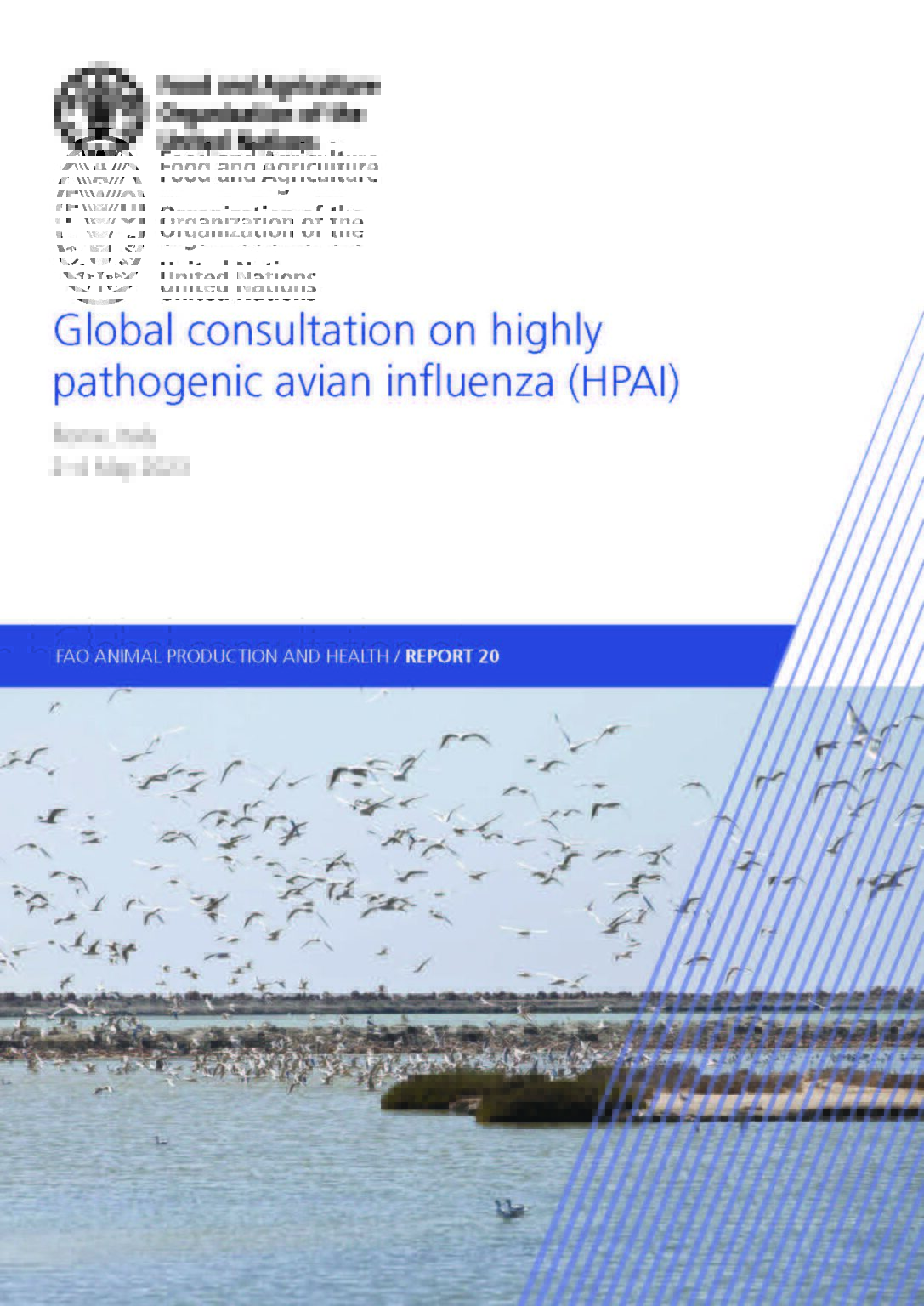 Global consultation on highly pathogenic avian influenza (HPAI) | One ...