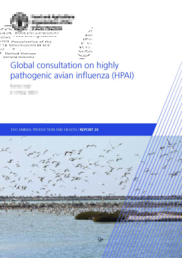 Global consultation on highly pathogenic avian influenza (HPAI) | One ...