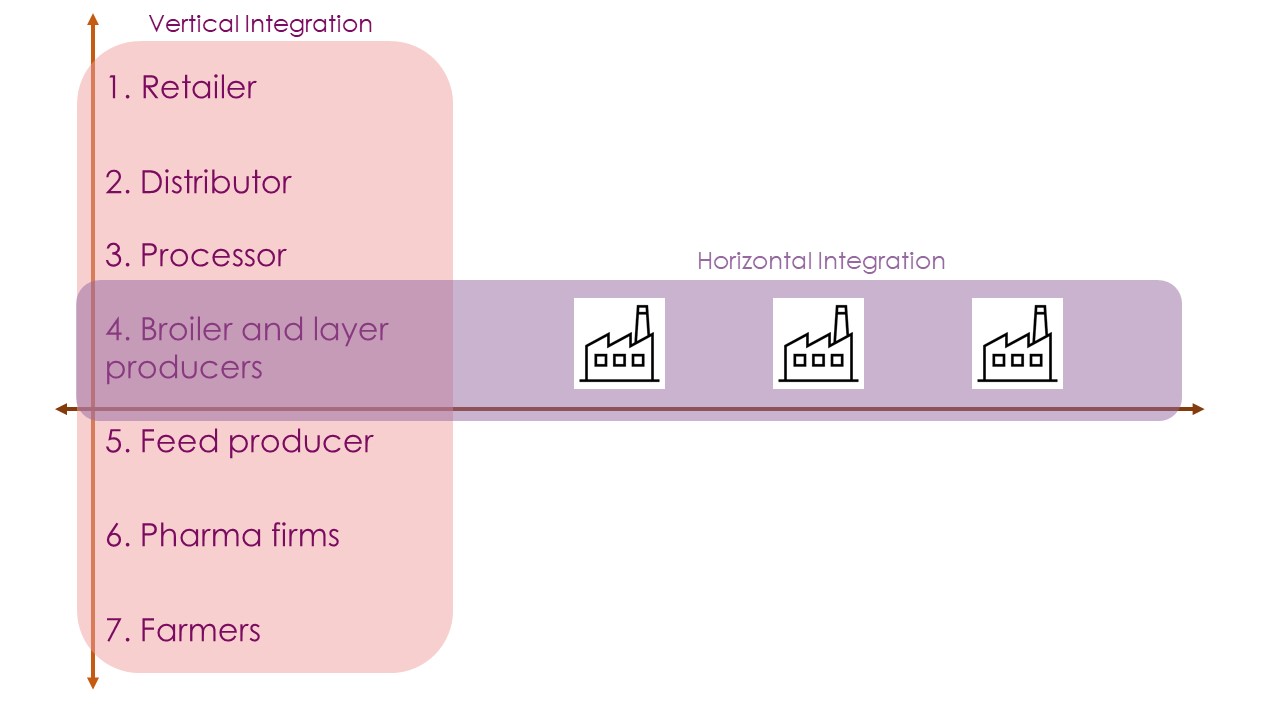 Figures showing vertical and horizontal integration