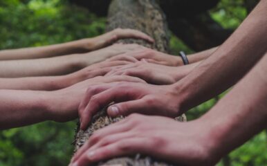 hands placed side by side along a tree trunk