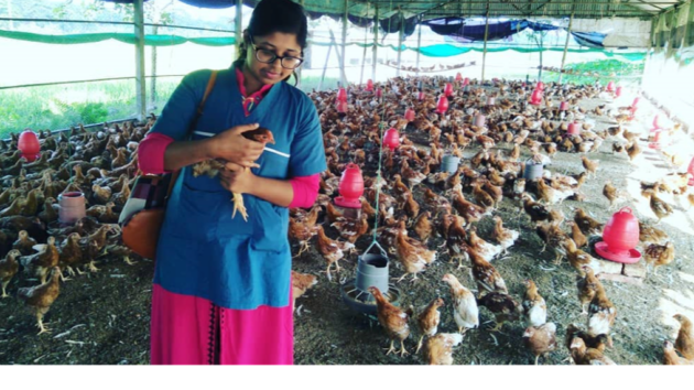 woman holding chicken and standing in a barn housing many chickens