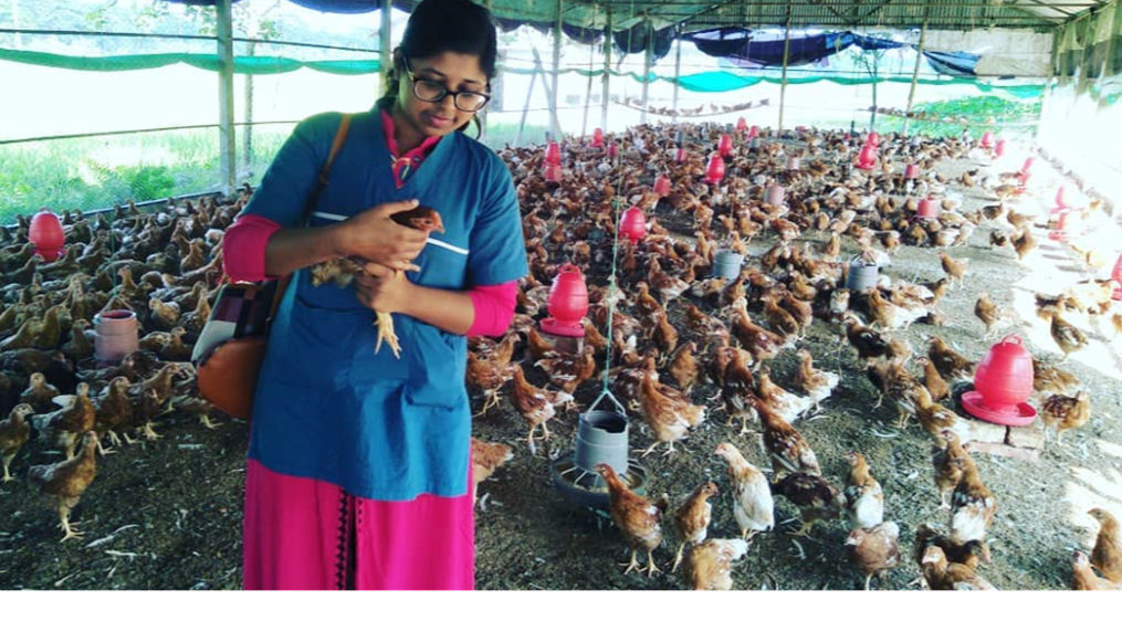 How private and public sector poultry veterinarians can work better