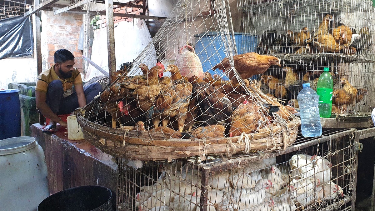 basket of chickens in a market setting with man in background.