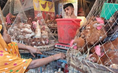 woman making a purchase from a male stall holder surrounded by baskets of chickens
