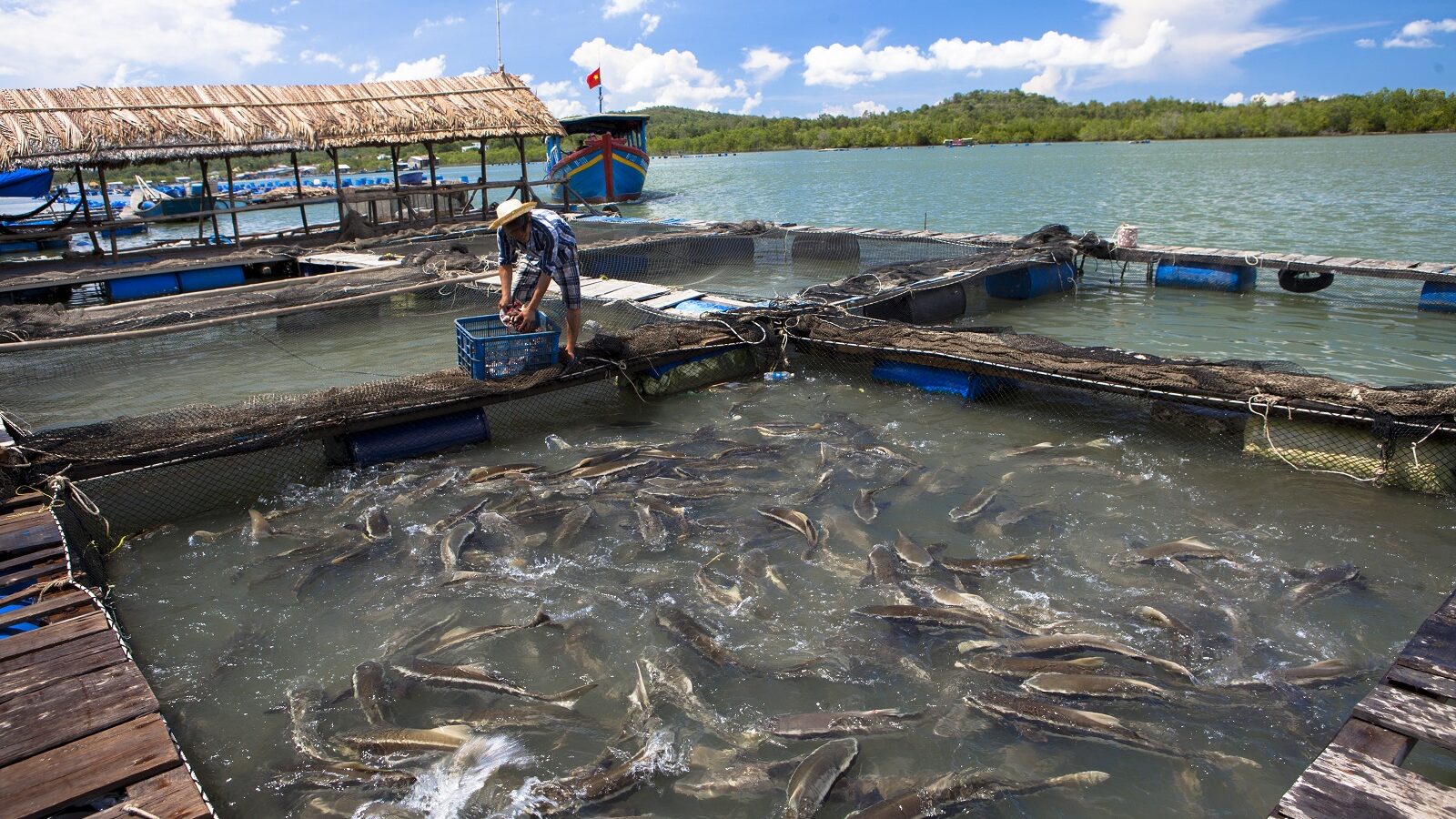 fish farm